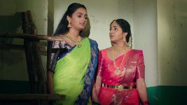 Rakhi Purnima S01E103 Purnima, Neelima Make an Attempt Full Episode