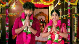 Rakhi Purnima S01E105 Rakhi, Neelima Get Engaged Full Episode