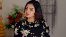 Rakhi Purnima S01E119 Anupama's Cruel Behaviour Full Episode