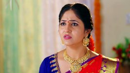 Rakhi Purnima S01E134 Neelima Is Shattered Full Episode