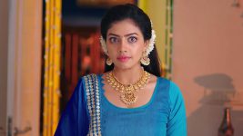 Rakhi Purnima S01E135 Anupama Influences Siddu Full Episode