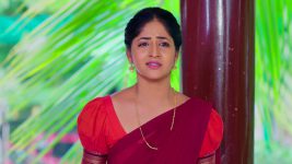 Rakhi Purnima S01E142 Neelima Breaks Down Full Episode