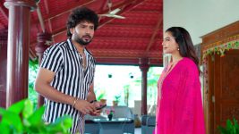Rakhi Purnima S01E17 Anupama's Master Plan Full Episode