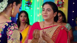 Rakhi Purnima S01E36 Prathap, Janaki Are Joyful Full Episode