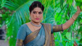 Rakhi Purnima S01E59 Vijayamma Is Enraged Full Episode