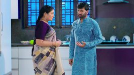 Rakhi Purnima S01E68 Prathap, Janaki's Escape Plan Full Episode