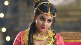 Rudhrama Devi (Star maa) S01E36 Tirumaladevi's Wicked Act Full Episode