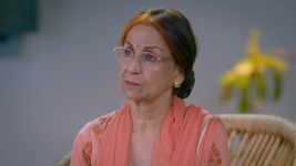 Sab Satrangi S01E115 Dadi Ka Faisla Full Episode