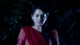 Saraswati S01E41 12th February 2016 Full Episode