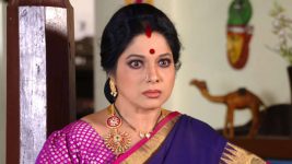 Savitramma Gari Abbayi S01E29 Savitri's Condition for Jamuna Full Episode