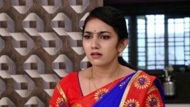Savitramma Gari Abbayi S01E551 Nandini Is in for a Shock Full Episode