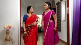 Savitramma Gari Abbayi S01E559 Nandini Caught Red-handed? Full Episode