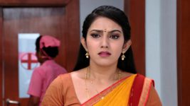 Savitramma Gari Abbayi S01E567 Nandini Is Doubtful Full Episode