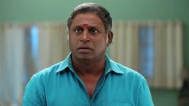 Senthoora Poove S01E273 Rajendran Comes Up With a Plan Full Episode