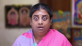 Senthoora Poove S01E300 Pandian Cautions Muthulakshmi Full Episode