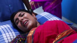 Senthoora Poove S01E311 Roja Is Admitted To Hospital Full Episode