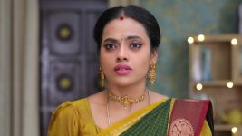 Senthoora Poove S01E326 Priya Is Shocked Full Episode