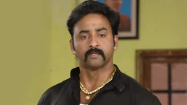 shambhavi S01E165 Shambhavi to Punish Satya? Full Episode
