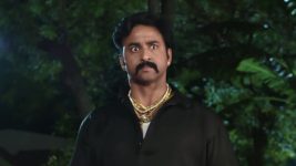 shambhavi S01E174 Satya Confronts Shivayya, Shambhavi Full Episode