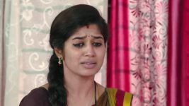 shambhavi S01E205 Shambhavi Is Targeted Full Episode