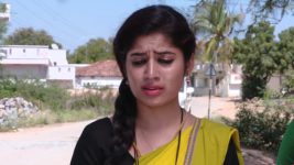 shambhavi S01E209 Shambhavi Searches for Shivayya Full Episode