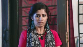 shambhavi S01E219 Vaishali Plans Her Next Move Full Episode