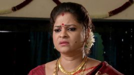 shambhavi S01E27 Janaki in Distress Full Episode