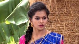 shambhavi S01E41 Sukanya Plans to Kill Shambhavi Full Episode