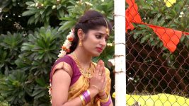 shambhavi S01E44 End of Shambhavi and Shivayya? Full Episode