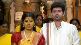 shambhavi S01E49 Shambhavi, Shivayya Get Married Full Episode