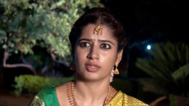 shambhavi S01E60 Shambhavi's Revenge Plan Full Episode