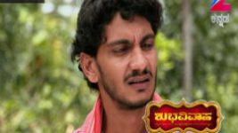 Shubhavivaha S01E503 23rd November 2016 Full Episode