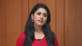 Siva Manasula Sakthi S01E11 Sakthi Apologises to Siva Full Episode