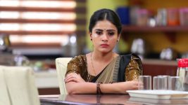 Siva Manasula Sakthi S01E259 Sakthi Confronts Siva Full Episode