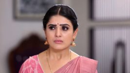 Siva Manasula Sakthi S01E262 Sakthi Apologises to Siva Full Episode