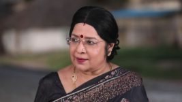 Siva Manasula Sakthi S01E264 Rajalakshmi Accuses Siva Full Episode