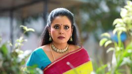 Siva Manasula Sakthi S01E309 Devanayaki Spots Akash, Sakthi Full Episode