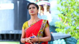 Sundhari Neeyum Sundharan Naanum S01E25 Velu Meets Tamizh Full Episode
