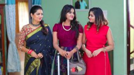 Sundhari Neeyum Sundharan Naanum S01E26 Nisha in the House Full Episode