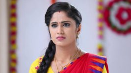 Sundhari Neeyum Sundharan Naanum S01E317 Tamizh Is Pregnant Full Episode