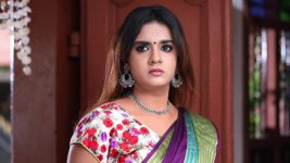 Sundhari Neeyum Sundharan Naanum S01E329 Nisha Meets Vijaya Lakshmi Full Episode