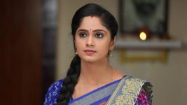 Sundhari Neeyum Sundharan Naanum S01E339 Tamizh Has a Plan Full Episode