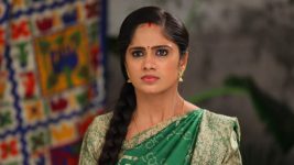 Sundhari Neeyum Sundharan Naanum S01E369 Tamizh Makes the Right Move Full Episode
