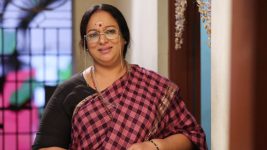 Sundhari Neeyum Sundharan Naanum S01E377 Vijaya Lakshmi's Affection Full Episode