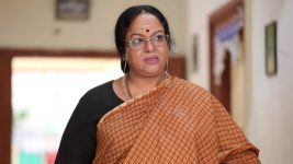 Sundhari Neeyum Sundharan Naanum S01E378 Vijaya Lakshmi Condemns Sukumaran Full Episode