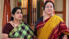 Sundhari Neeyum Sundharan Naanum S01E397 Chithra Seeks Forgiveness Full Episode