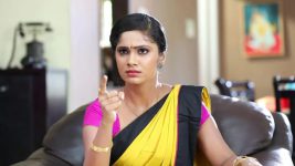 Sundhari Neeyum Sundharan Naanum S01E43 Tamizh Warns Thenarasu Full Episode