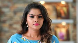 Sundhari Neeyum Sundharan Naanum S01E51 Vijaya Lakshmi Gives a Deadline Full Episode
