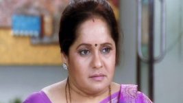 Swapnanchya Palikadal S01E19 Shailaja Worried For Vaidehi Full Episode