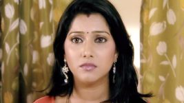 Swapnanchya Palikadal S01E49 Vaidehi Has An Idea Full Episode